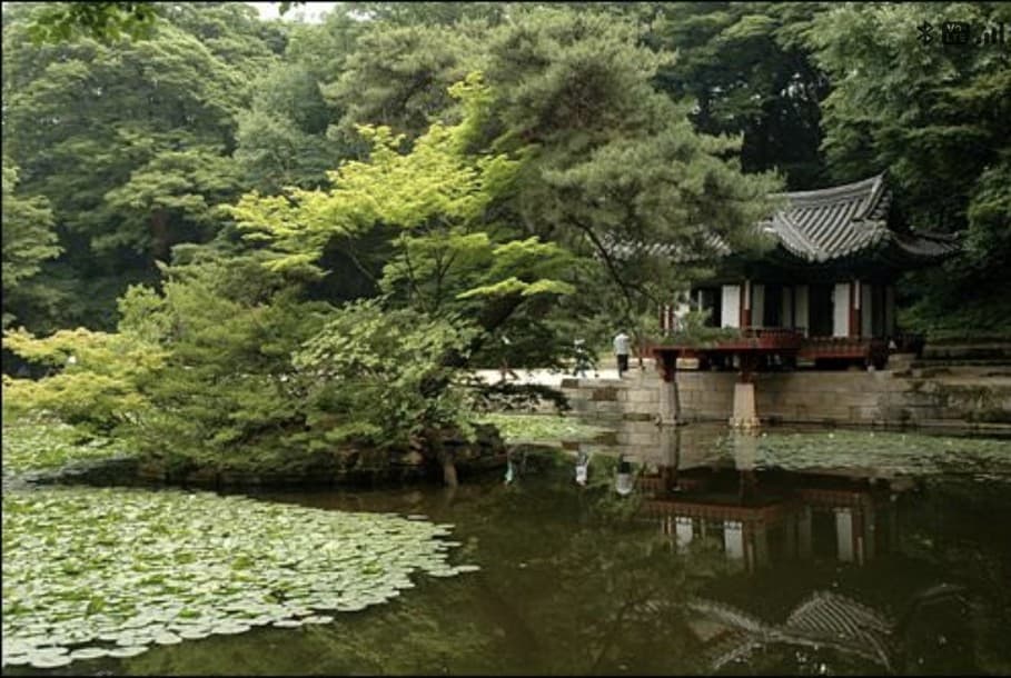 A pavilion beside a lotus-covered pond surrounded by lush trees in Biwon, the Secret Garden